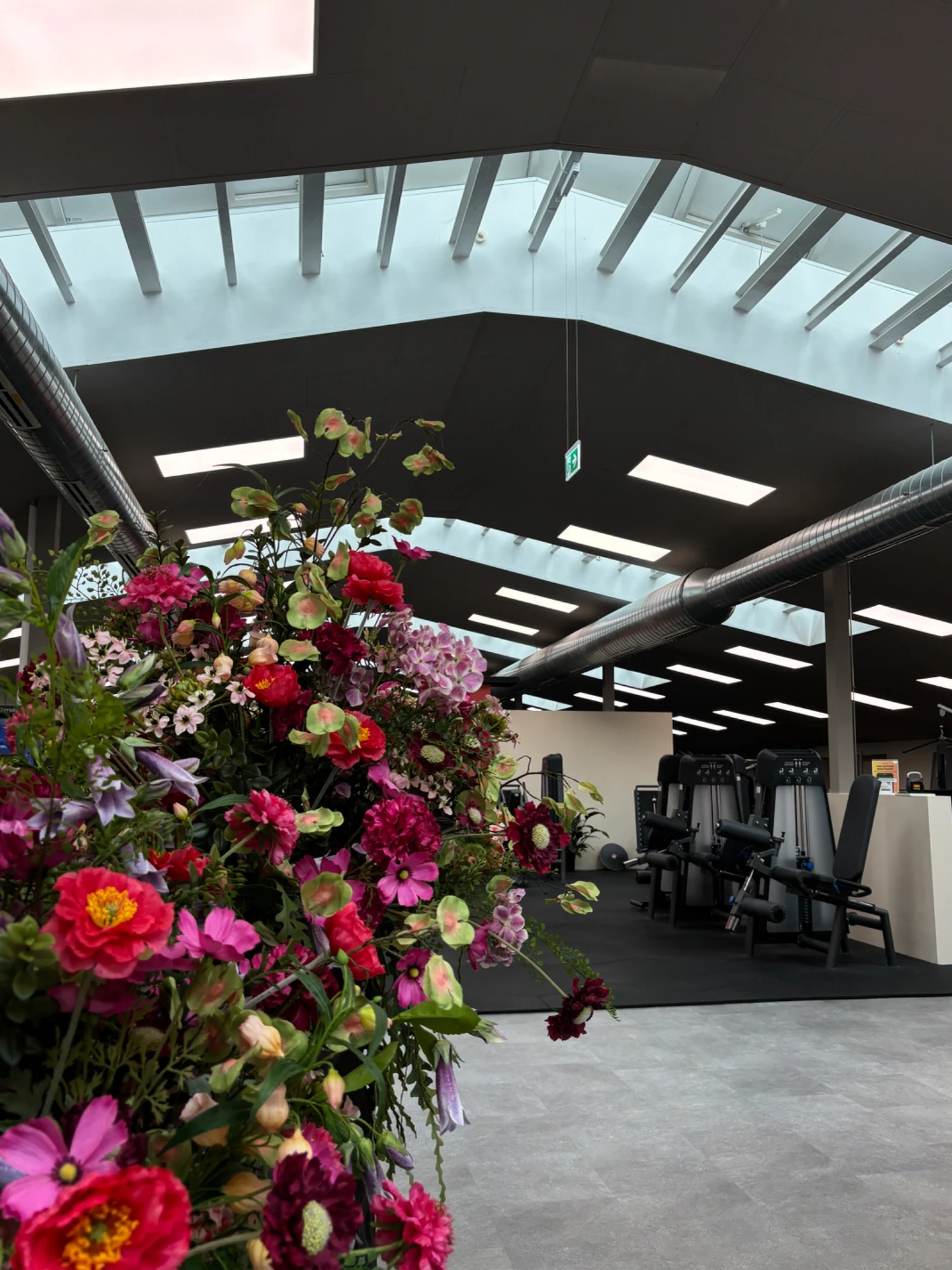 Blumen und Trainingsfläche im GENIUS