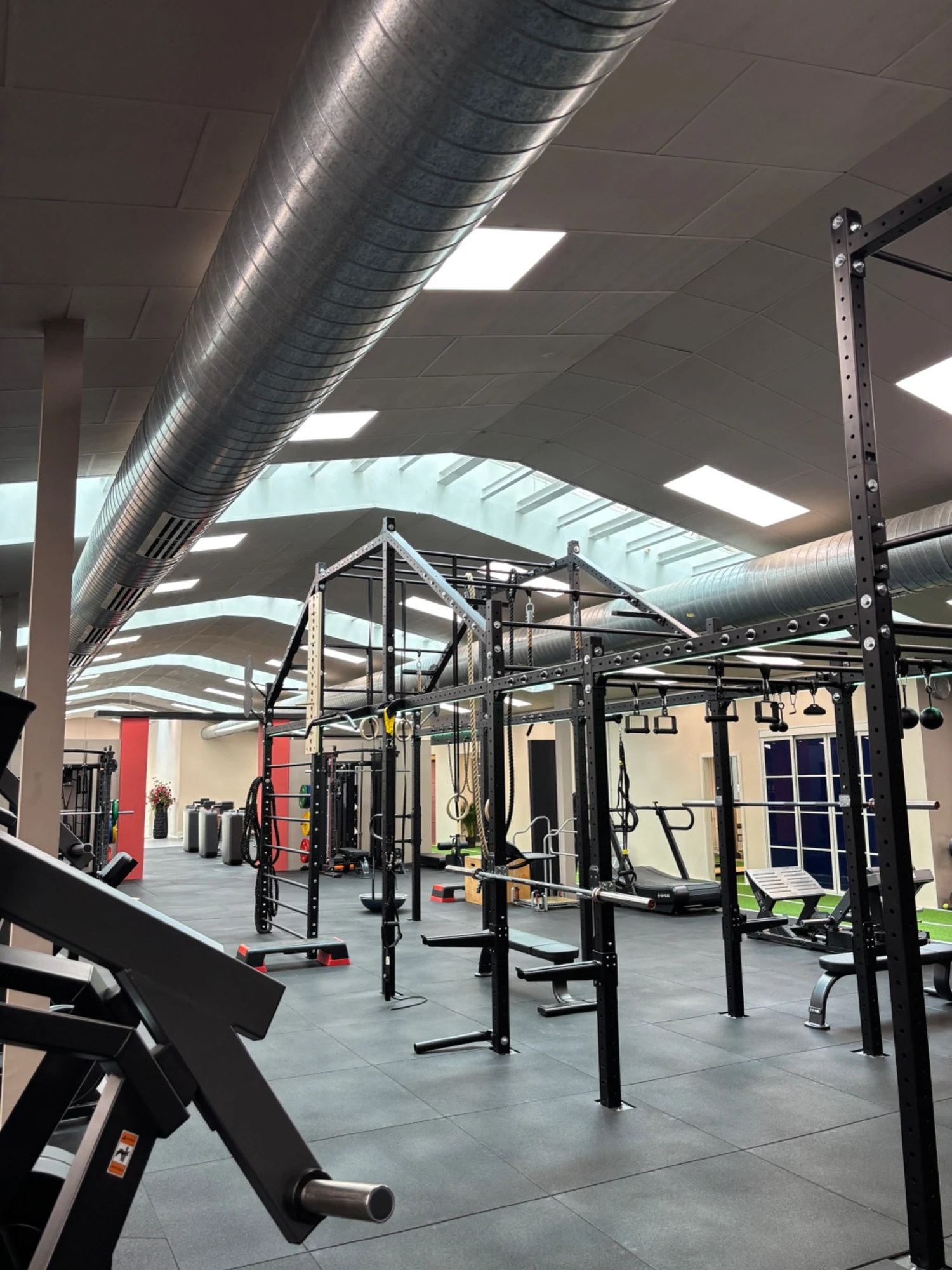 Functional Training Rig